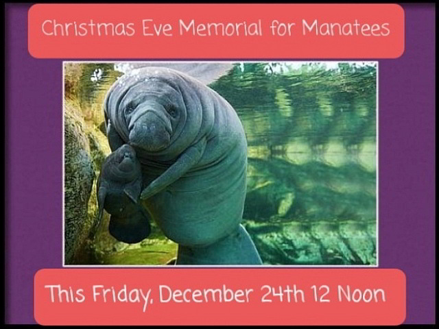 Christmas Eve Memorial for Manatees
