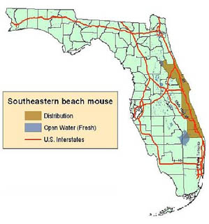 Southeastern beach mouse distribution map