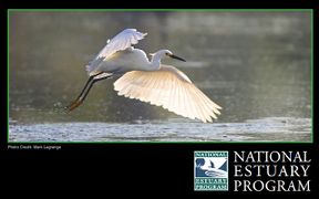 Link-screenshot-national-estuary-program-booklet.jpg