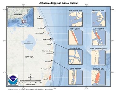 Johnson's Seagrass Critical Habitat