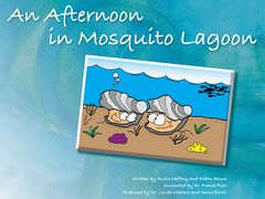 Link-screenshot-an-afternoon-in-mosquito-lagoon.jpg