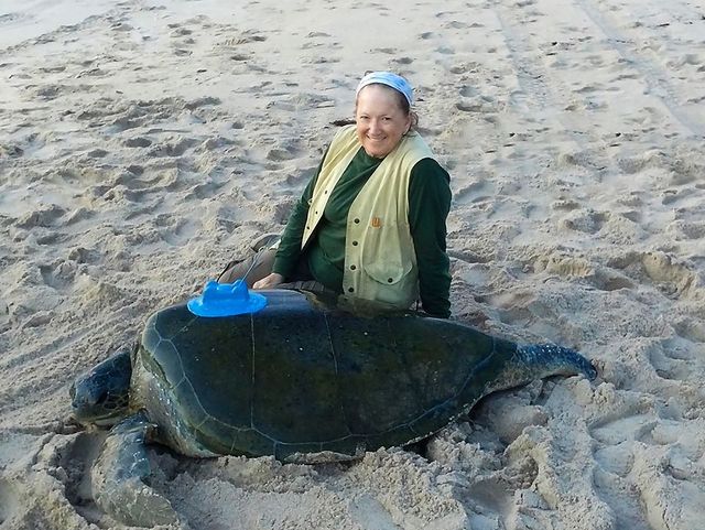 Tracking Green Sea Turtles by Satellite