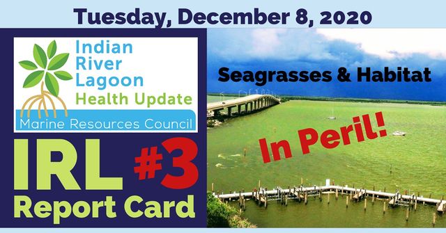 Indian River Lagoon Health Update 2020