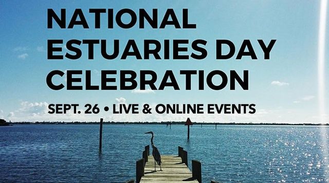 Marine Resources Council (MRC) celebrated National Estuary Day with a webinar featuring presentations on the Indian River Lagoon Observatory Network (IRLON) by Dr. M. Dennis Hanisak, Ph.D., and MRC's new IRL Report Card by Dr. Leesa Souto.