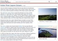 Link-screenshot-indian-river-lagoon-news.jpg