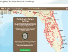 Link-screenshot-gopher-tortoise-sighting-map.jpg