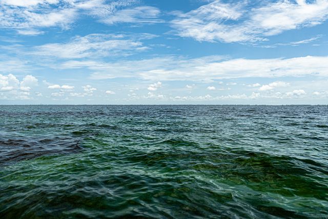 U.S. Army Corps of Engineers announces the approval of a planned deviation from Lake Okeechobee regulations to reduce risk from Harmful Algal Blooms.