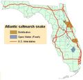 Atlantic salt marsh snake distribution map.jpg