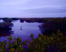 Waterbody catfish creek.jpg