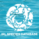 Database: Indian River Lagoon Species Inventory
