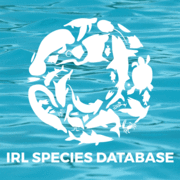 Link-logo-indian-river-lagoon-species-inventory.gif