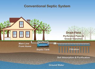 Home Septic System Infographic