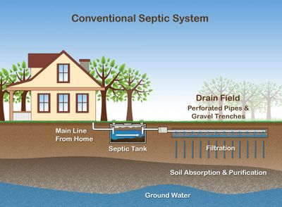 Septic system infographic.jpg