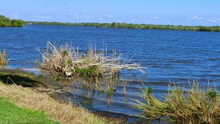 Central Mosquito Lagoon near Kennedy Space Center