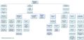 Mosquito Lagoon Organizational Chart Full.jpg