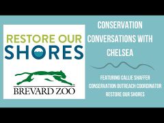 Link screenshot conservation conversations with chelsea - callie shaffer.jpg