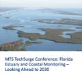 Event-marine-technology-society-techsurge-conference-florida-estuary.jpg