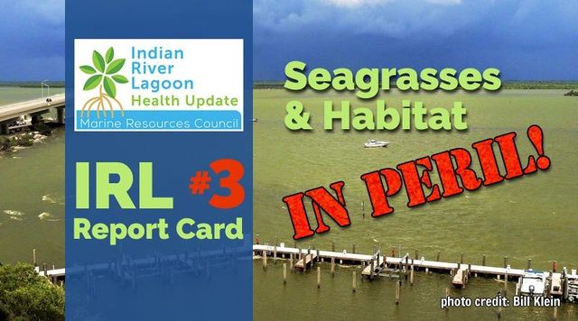 The Marine Resources Council studied 25 years of state water quality data collected in 10 Indian River Lagoon regions in order to present their 3rd IRL Health Update Report Card.