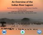 View An_Overview_of_the_Indian_River_Lagoon_Troy_Rice