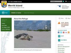 Link-screenshot-merritt-island-national-wildlife-refuge.jpg