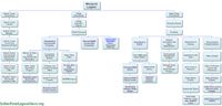 Mosquito Lagoon Organizational Chart.jpg