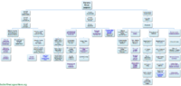 Banana River Organizational Chart.png