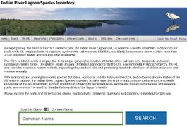 Link-screenshot-indian-river-lagoon-species-inventory.jpg