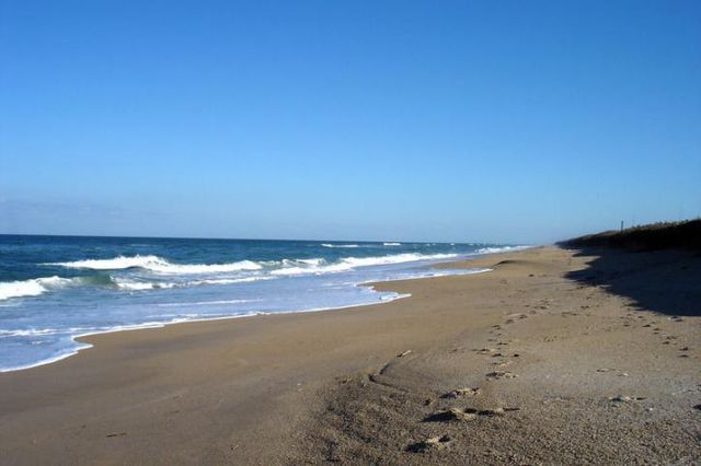 Canaveral National Seashore (CANA) is closed due to novel coronavirus (COVID19) guidance from the Centers for Disease Control (CDC).