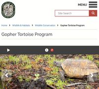 Link-screenshot-florida-gopher-tortoise-conservation-program.jpg