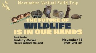 Event virtual field trip- the future of wildlife is in our hands 2021-11-18.jpg