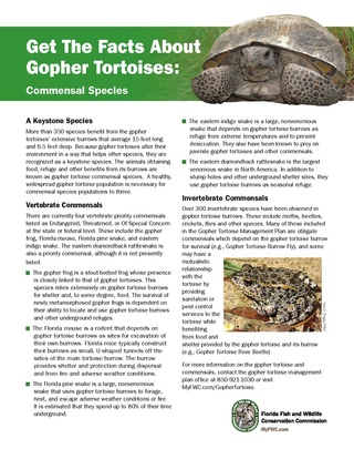 Gopher Tortoise Commensal Species